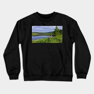 Dumont Lake Crewneck Sweatshirt